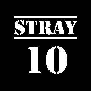 stray-10.jpg